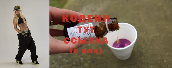 хмурый Дмитриев
