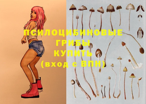 прущие крисы Дмитров