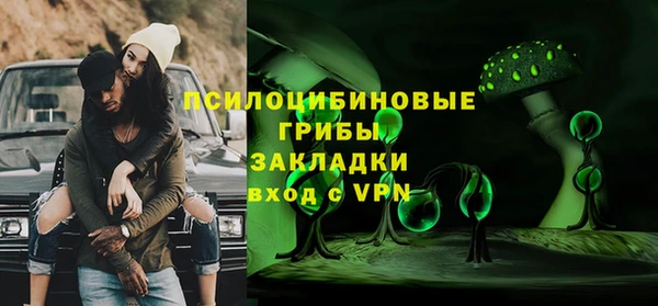 хмурый Дмитриев